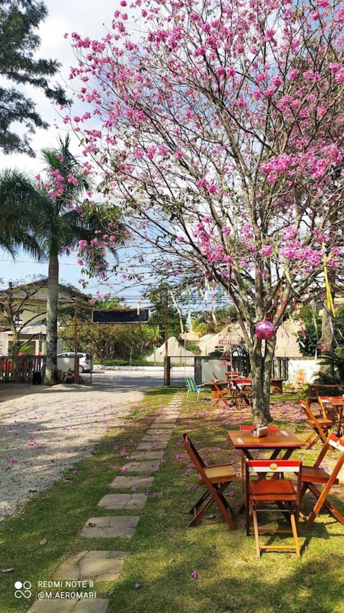 Nomades Vibe Da Ilha - Adventure Hostels & Coworking Florianópolis 외부 사진